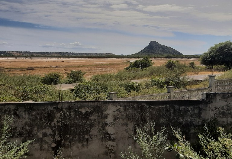 TERRAIN A VENDRE SUR LA ROUTE DE RAMENA PK5 
