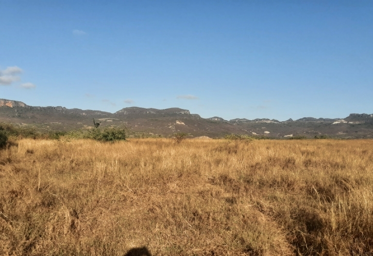 Un beau terrain à vendre au PAUL 6 SCAMA, Diego II